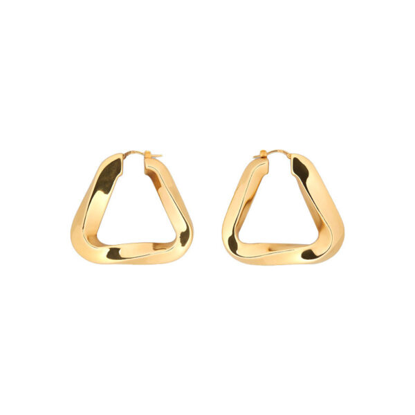 Irregular Eardrop Earring Female Ins Style Personality Simple - Image 5